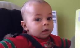 Vẻ sửng sốt của bé trai khi nghe tiếng sư tử gầm