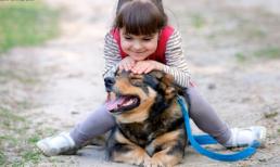 8 lợi ích kì diệu với sức khỏe khi bạn nuôi một chú chó