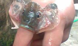 Câu chuyện của một phi công trẻ về già