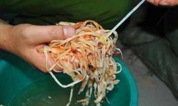 Người dân ăn nhiều mực cao su mà không biết