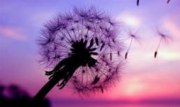 Tử vi 12 chòm sao ngày 19/8