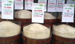 Kinh hãi gạo thơm nấu ra cơm… độc!