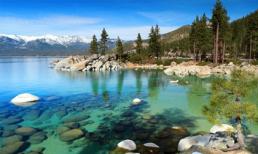 Những hồ bơi tuyệt vời không thể bỏ qua ở Mỹ