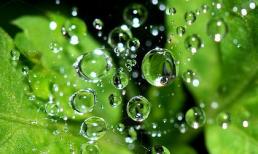 Tử vi 12 chòm sao ngày 20/8