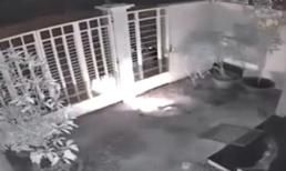 Phẫn nộ với clip ăn trộm chó