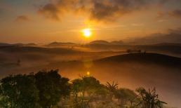 Vẻ đẹp mê hoặc của Mộc Châu trong sương sớm