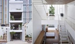 Ngưỡng mộ nhà ống Sài Gòn 'hút' sáng ngập nhà