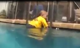Ngạc nhiên em bé ngụp lặn trong bể bơi một cách chuyên nghiệp