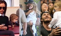 3 tuổi, bé Harper vẫn 'nghiện' ti giả mọi lúc mọi nơi