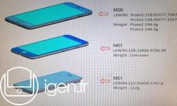 Xuất hiện số đo chính xác của 3 bản iPhone 6