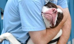 Cho em xin 1 cái ôm