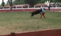 Họa trên trời rơi xuống