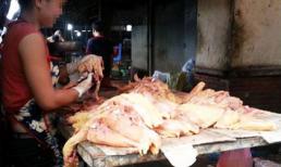 Thịt gà tồn cuối chợ đầu mối đi về đâu?