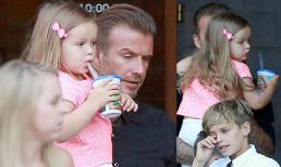 Harper xinh xắn, dịu dàng như công chúa trên tay bố Beck