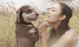 Tinna Tình khóc ngất khi bị mất trộm chó