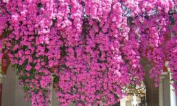 Tử vi 12 chòm sao ngày 28/8