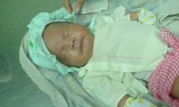 Bé trai 10 ngày tuổi bị bỏ lăn lóc bên gốc cây