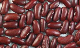 Top 10 thực phẩm bổ dưỡng nhất thế giới