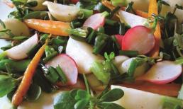 Thần dược rau sam trị: Kiết lỵ, giun và phòng ngừa tim mạch