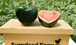 Bộ sưu tập những loại quả có hình thù độc đáo chưa từng thấy