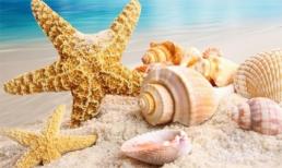 Tử vi 12 chòm sao ngày 1/9