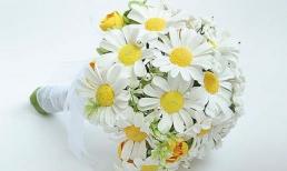 Tử vi may mắn tuần mới cho bạn (1/9 - 7/9/2014)