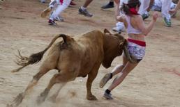 Đau điếng với lễ hội bò tót