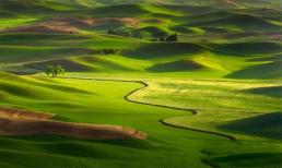 Hình ảnh tuyệt đẹp của những cánh đồng trên đất Mỹ