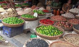 Nhiều nông sản Trung Quốc “đội lốt” hàng Việt, người mua mắc lừa