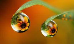 Tử vi 12 chòm sao ngày 5/9