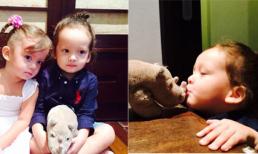 Fans hết lời khen ngợi vẻ ngoài cực yêu của cặp song sinh Tôm - Tép