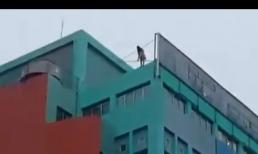 Nhảy lầu tự tử từ tầng 15 Trung Tâm điện máy Vũng Tàu