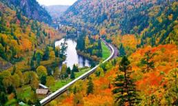 Ngắm mùa thu nhuộm vàng thế giới