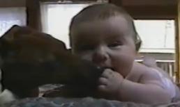 Màn thể hiện tình cảm của cún khiến bé yêu ngơ ngác