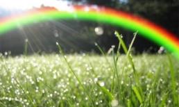 Tử vi 12 chòm sao ngày 8/9