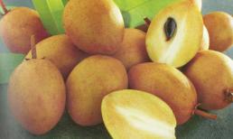 8 loại trái cây trị bệnh tiêu chảy cho trẻ