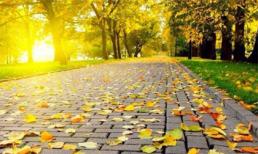 Tử vi 12 chòm sao ngày 10/9 