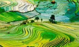 Ruộng bậc thang ở Sapa lọt top điểm đến đẹp nhất thế giới