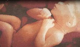 Tác phẩm nghệ thuật làm từ 66.000 chiếc cốc