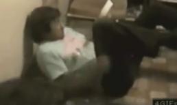 Những hành động hài hước của động vật