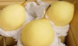 Lê Trung Quốc tươi 5 tháng, Tiến sĩ 'bó tay'