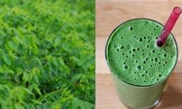 Khám phá công dụng chữa bệnh của rau ngót