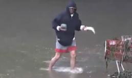 Ngoạn mục màn bắt cá bằng đá