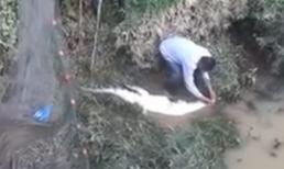 Đánh cá bằng kích điện bắt được cá sấu