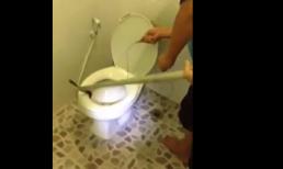 Phát hiện rắn trong toilet