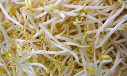 Những người tuyệt đối không nên ăn giá đỗ