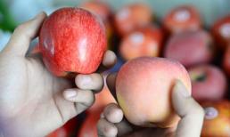 Kiểm tra nhưng không phát hiện trái cây Trung Quốc?