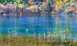 Vẻ đẹp thiên đường của mùa thu Tứ Xuyên