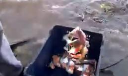 Anh ấy có tuyệt chiêu gì mà câu cá nhiều đến thế