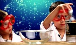 Cậu bé 8 tuổi kiếm được 1,3 triệu USD một năm nhờ YouTube